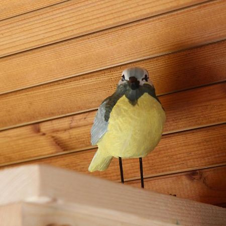 فندق Tiny Pipowagen Koolmees Oudesluis  المظهر الخارجي الصورة